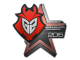 Sticker | G2 Esports | Cluj-Napoca 2015 skin