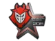 Sticker | G2 Esports | Cluj-Napoca 2015 CS2 skin