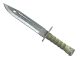 ★ Bayonet CS2 skin