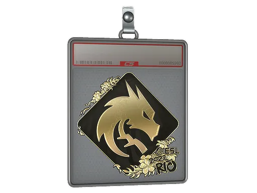 Sticker Slab | Team Spirit (Gold) | Rio 2022