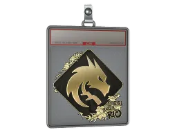 Sticker Slab | Team Spirit (Gold) | Rio 2022