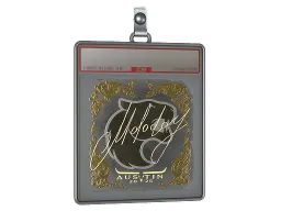 Sticker Slab | molodoy (Gold) | Austin 2025