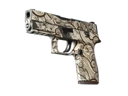 P250 | Gunsmoke (Well-Worn)