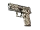 P250 | Gunsmoke CS2 skin