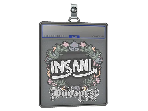 Sticker Slab | insani | Budapest 2025
