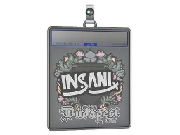 Sticker Slab | insani | Budapest 2025