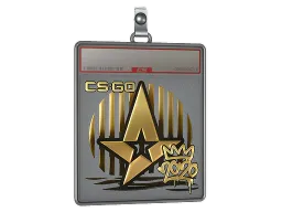 Sticker Slab | Astralis (Gold) | 2020 RMR