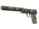 USP-S | Ancient Visions (Well-Worn)