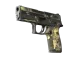 P250 | Contamination CS2 skin