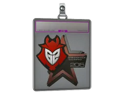 Sticker Slab | G2 Esports (Foil) | Cluj-Napoca 2015
