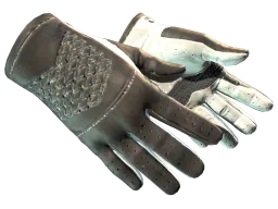 ★ Driver Gloves | Black Tie (Factory New)