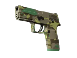 P250 | Boreal Forest CS2 skin
