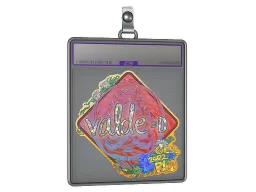 Sticker Slab | v4lde (Glitter) | Rio 2022