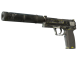 StatTrak™ USP-S | Torque (Battle-Scarred)
