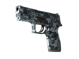 StatTrak™ P250 | Steel Disruption (Minimal Wear)