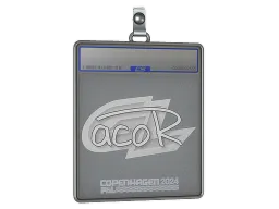 Sticker Slab | acoR | Copenhagen 2024