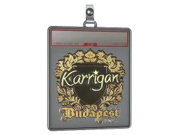 Sticker Slab | karrigan (Gold) | Budapest 2025