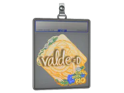 Sticker Slab | v4lde | Rio 2022