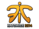 Sticker | Fnatic | Katowice 2014 skin