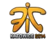 Sticker | Fnatic | Katowice 2014 CS2 skin