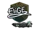 Sticker | EliGE (Glitter) | Antwerp 2022 CS2 skin