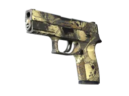 P250 | Contamination CS2 skin