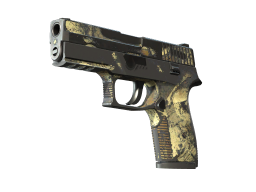 P250 | Contamination (Battle-Scarred)