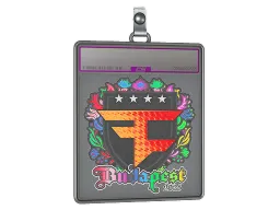 Sticker Slab | FaZe Clan (Holo) | Budapest 2025