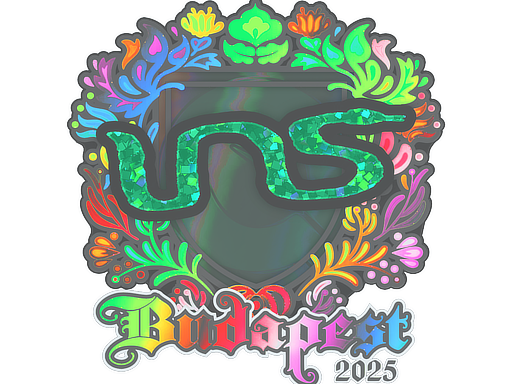 Sticker | INS (Holo) | Budapest 2025