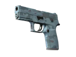 P250 | Forest Night (Factory New)