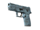 P250 | Forest Night (Factory New)