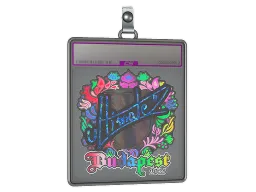 Sticker Slab | ultimate (Holo) | Budapest 2025