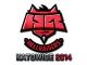 HellRaisers (Foil) | Katowice 2014