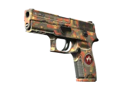 StatTrak™ P250 | Red Rock (Field-Tested)