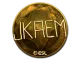 Sticker | jkaem (Gold) | Katowice 2019 CS2 skin