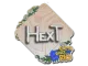 Sticker | HexT | Rio 2022 CS2 skin