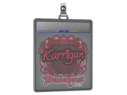 Sticker Slab | karrigan | Budapest 2025