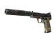 USP-S | 27 CS2 skin