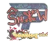 Sticker | snow | Shanghai 2024 CS2 skin