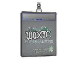 Sticker Slab | woxic | Antwerp 2022