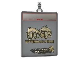 Sticker Slab | woxic (Gold) | Antwerp 2022