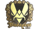 Sticker | Vitality (Gold) | Budapest 2025