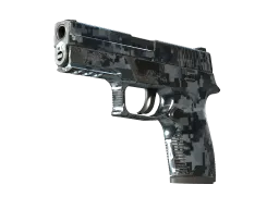 P250 | Steel Disruption (Field-Tested)