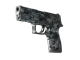 P250 | Steel Disruption CS2 skin