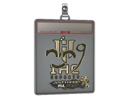 Sticker Slab | nin9 (Gold) | Antwerp 2022
