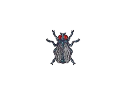 Sticker | Fruit Fly (Foil)