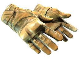 ★ Moto Gloves | Transport (Battle-Scarred)