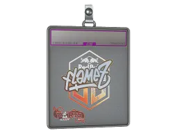 Sticker Slab | FlameZ (Holo) | Paris 2023