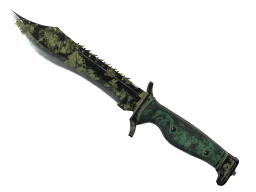 ★ Bowie Knife | Boreal Forest (Battle-Scarred)
