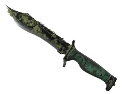 ★ Bowie Knife | Boreal Forest (Battle-Scarred)